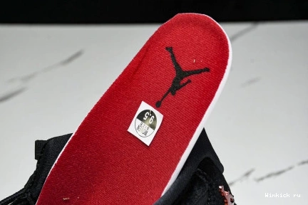 Jordan 11 “Bred Velvet” Air 1009